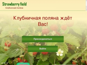 Скриншот главной страницы сайта straw-field.com